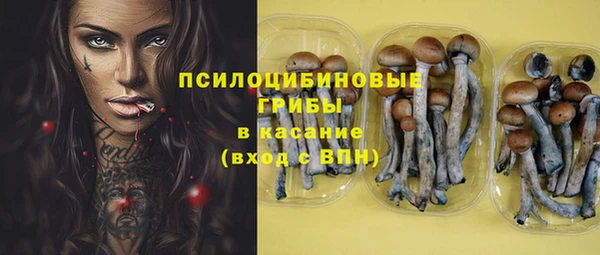 apvp Аркадак