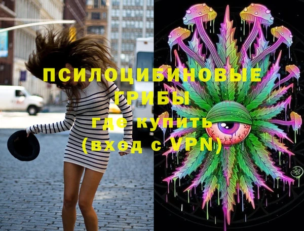 ешки Арсеньев