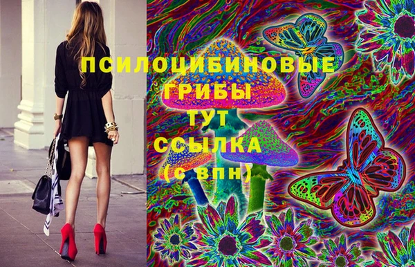 apvp Аркадак