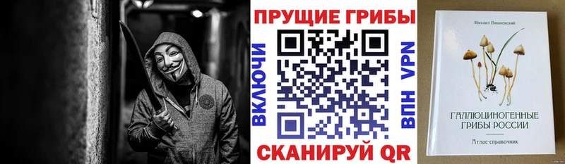 Псилоцибиновые грибы мицелий  Гаврилов Посад 